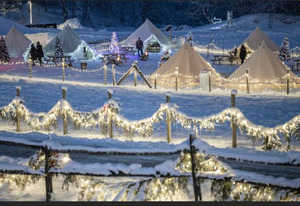 Snow Days and Moon Lit Nights at Big Rock Creek