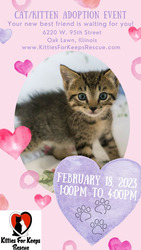Love is in the Air! - Kitties For Keeps Rescue - Cat Adoption