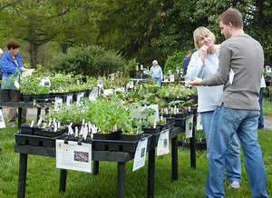 Spring Native Plant Sale by Loudoun Wildlife Conservancy