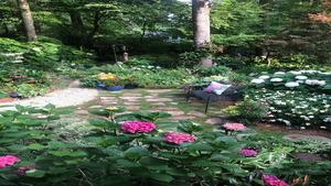 30th Garden Tour of Athens