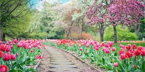 Divorced and Separated Retreat with Judith McHale, MA, LPC and Tom Mitchell, Ph.D.