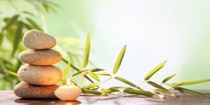 Spiritual Spa GetAway with Pam Bork and Team