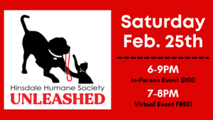 Unleashed