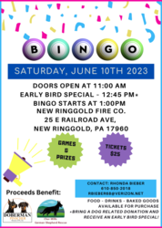BINGO!