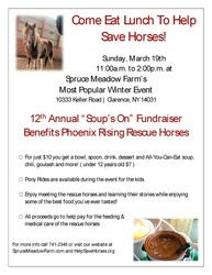 " Soup's On " fundraiser for rescue horses