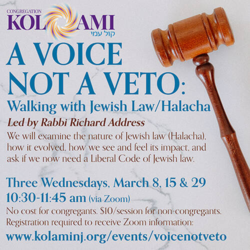 A Voice Not a Veto: Walking with Jewish Law/Halacha