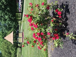 Getting Ready for Spring