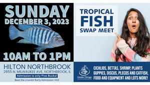 Tropical Fish Swap Meet