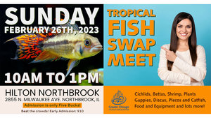 Tropical Fish Swap Meet