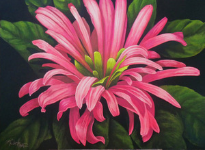 Canandaigua Wedding March