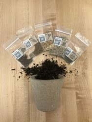 Master Gardeners: Container Gardening and Seed Swap