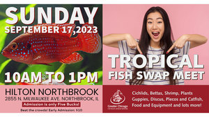 Tropical Fish Swap Meet