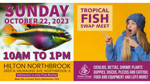 Tropical Fish Swap Meet