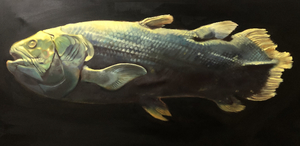 D'Arcy Simpson Art Works Presents: Why Look? by Xan Peters