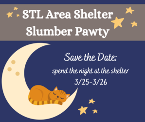 Shelter Slumber Pawty