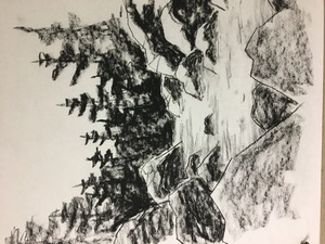 Sketching-Trees, Rocks, & Nature