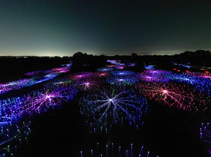 Field of Light Hosting Silent Disco