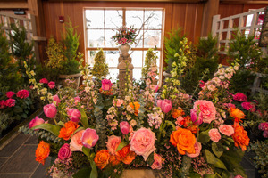 After Hours with the Flowers