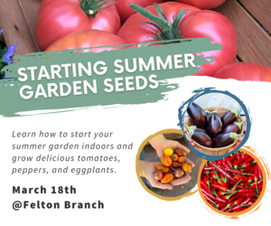 Starting Summer Garden Seeds Indoors