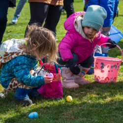 Spring Egg Hunt