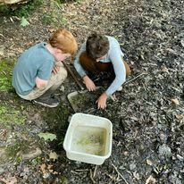 Get in Touch with Nature Day Camp-Ages 7-10
