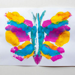 Butterfly Symmetry Painting