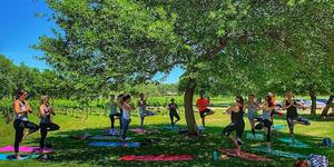 Vino Vinyasa at Fall Creek Vineyards