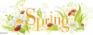 The Village Treasure Chest Vendor Spring Event