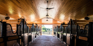 Wellington Barn Tour