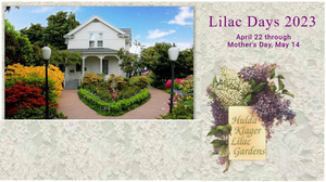 Lilac Days 2023