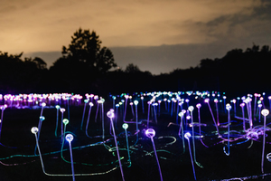 Field of Light Hosting Immersive Sound Bath Experience