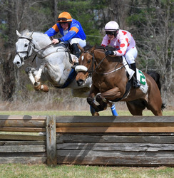 Warrenton Hunt Point-to-Point Races