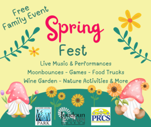 Spring Fest