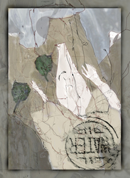 Electronic Drawings from the Garden