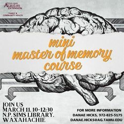 Master of Memory