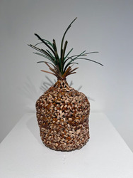 Free Basket Making Demonstrations by Bay Area Basket Makers at Sanchez Art Center