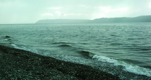 History Café: Creating a Hopeful Future for the Puget Sound