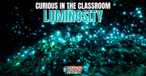 Reading Science Center - Curious in the Classroom