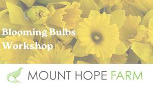 Blooming Bulbs Workshop