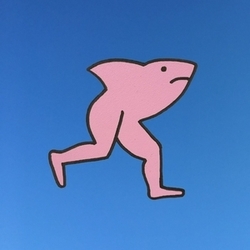 SharkLegs
