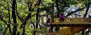 Zip Line Day