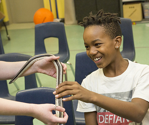 Arizona Humane Society Summer Camp