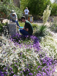 Habitat at Home: How to Create Bird & Pollinator Habitat in the Urban Landscape