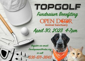 TopGolf Fundraising Event for Open Door Animal Sanctuary Sponsored by Welsch Heating & Cooling