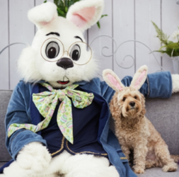 Bunny Pet Photos Returns to Stoneridge Shopping Center for Easter