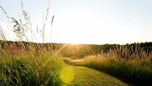 Trail of Peace Art Meet-up at Ganondagan