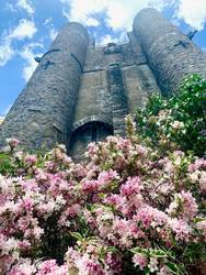 Opening Day Celebration at Hammond Castle Museum