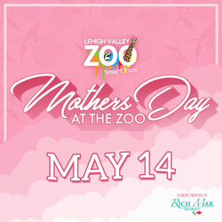 Mother's Day at the Zoo