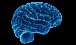 $4 for an Online Cognitive Behavioral Therapy and Counseling Course from SkillSuccess eLearning ($199 Value) 