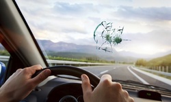 Windshield Repair from Superior Auto Steam (Up to 45% Off)